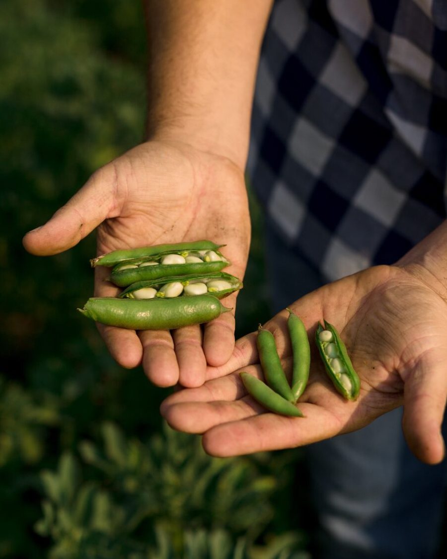 Beans Talk 1 beans talk