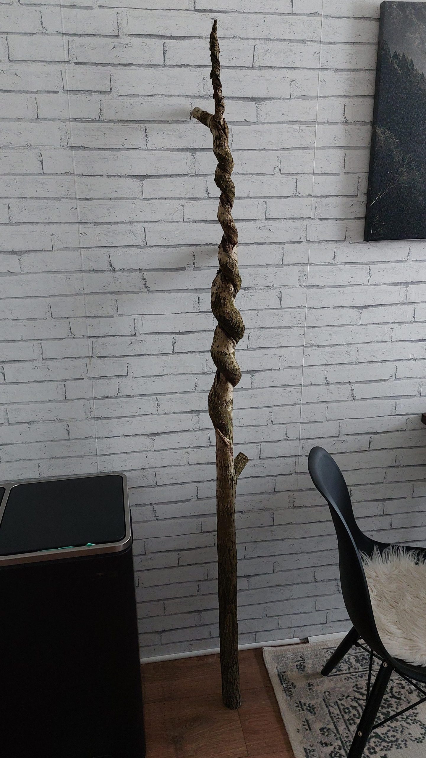 Cool Stick 1 cool stick scaled