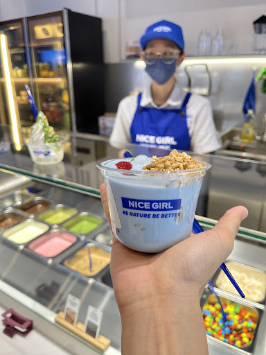 Nice Girl Yogurt Fruit @ Sutera Utama Nice Girl Yogurt Fruit @ Sutera Utama