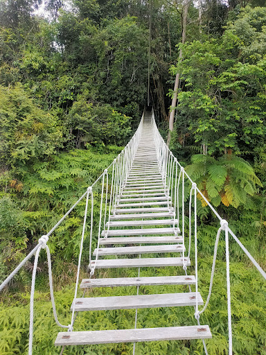 Adventure Park by Colmar Tropicale Adventure Park by Colmar Tropicale