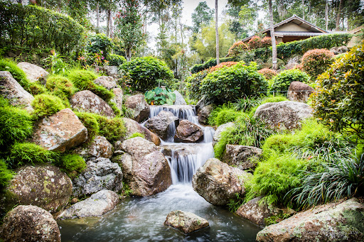 Japanese Village Japanese Village