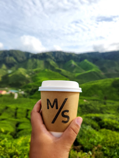 M/S lite coffee