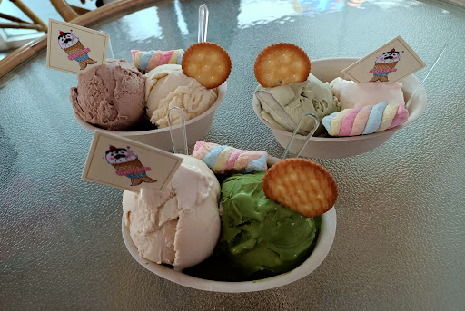 Gelateria Foca Cafe Gelateria Foca Cafe