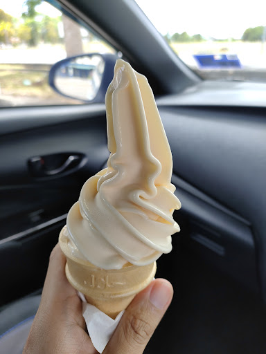 Lovin Ice Cream