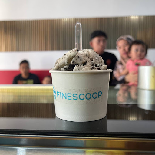 Finescoop
