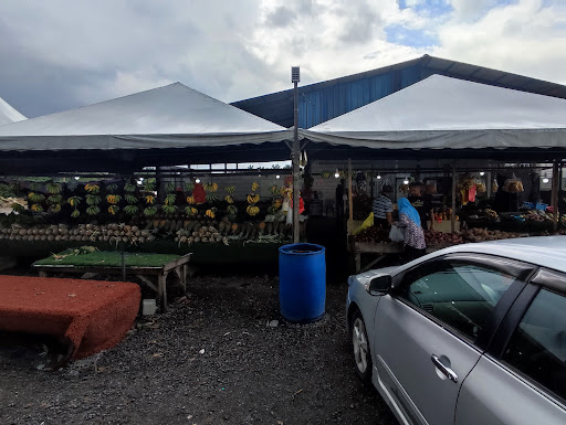 Pineapple Store