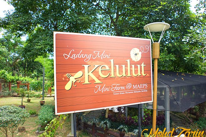 Kafe Taman Kelulut 1 kafe taman kelulut